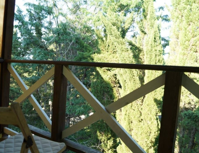 Люкс 3-местный - Отель «Пицунда»